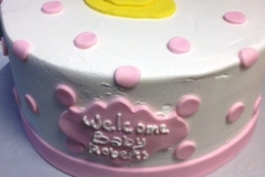 Baby-Shower-Cakes12