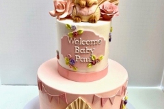 Baby-Shower-Cakes16