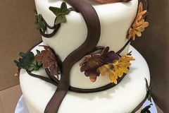 Baby-Shower-Cakes24