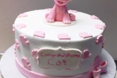 pink dinosaur cake