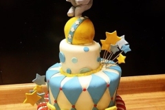 1_Shaped-Cakes58