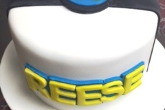 1_Shaped-Cakes63