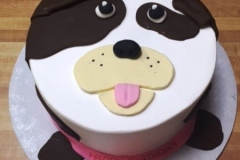 1_Shaped-Cakes64