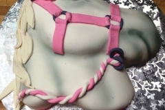 Shaped-Cakes18
