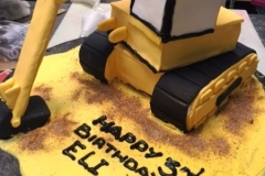 Shaped-Cakes21