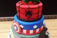 Shaped-Cakes36