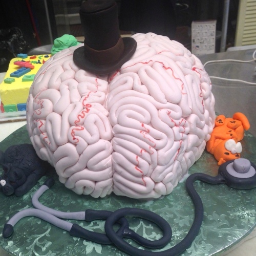 brain sculpture cake